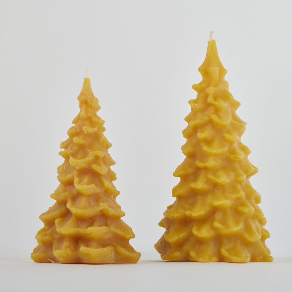 Natural Evergreen Tree Candle
