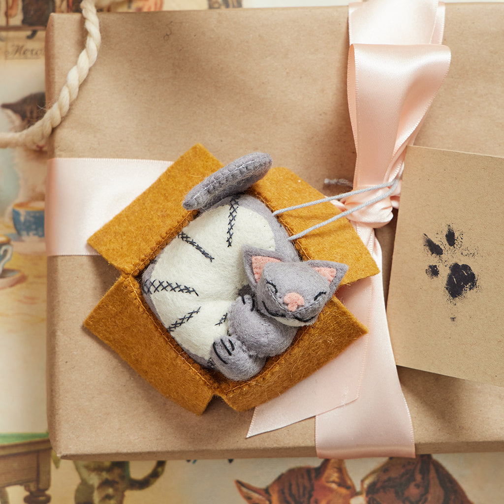Cat in Box Ornament