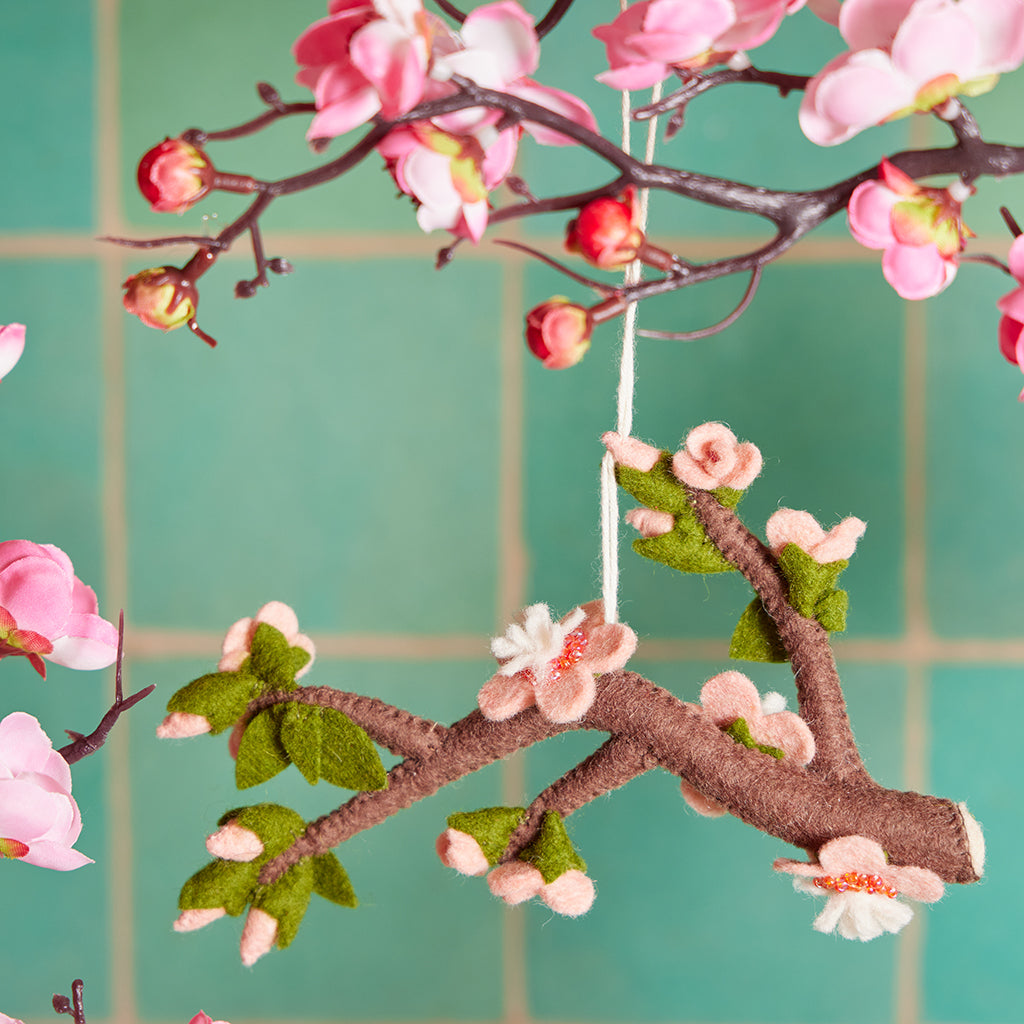 Sakura Cherry Blossoms Branch