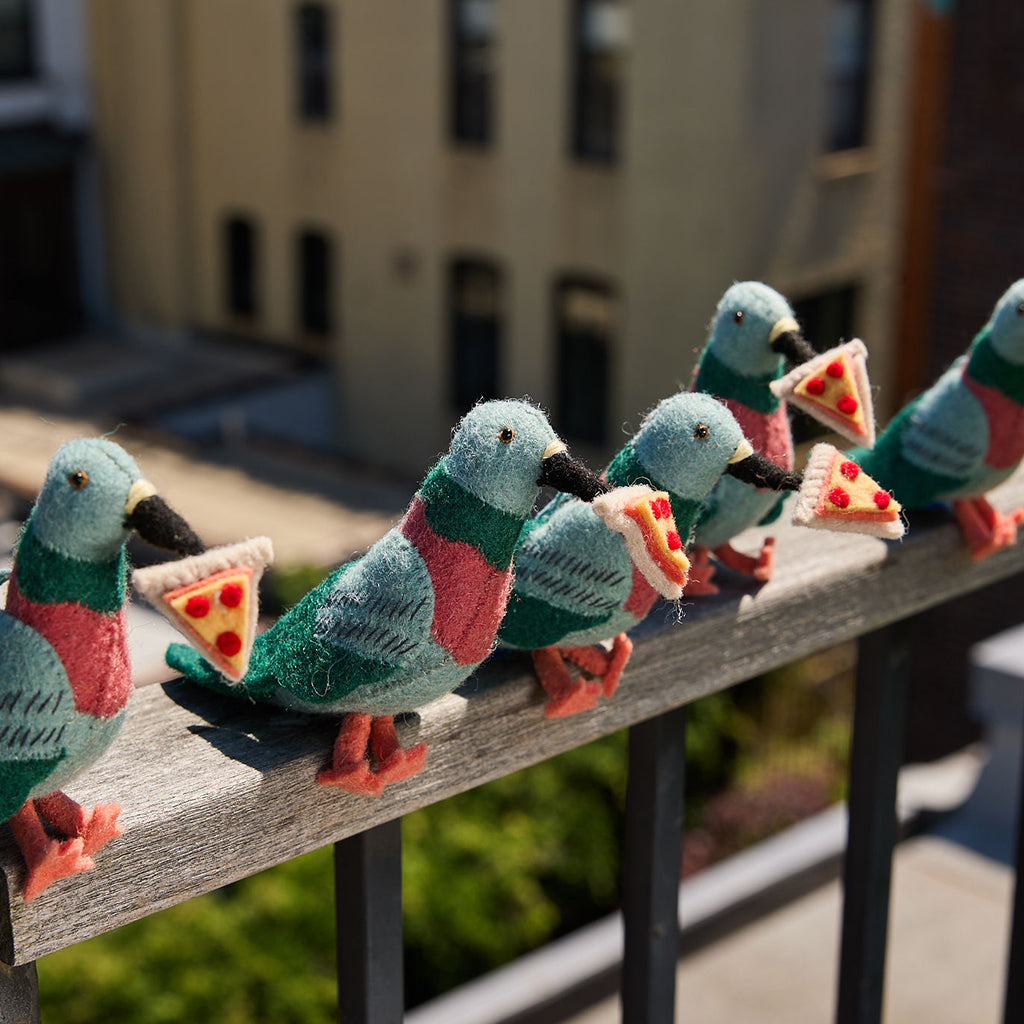 Hungry Urban Pizza Pigeon