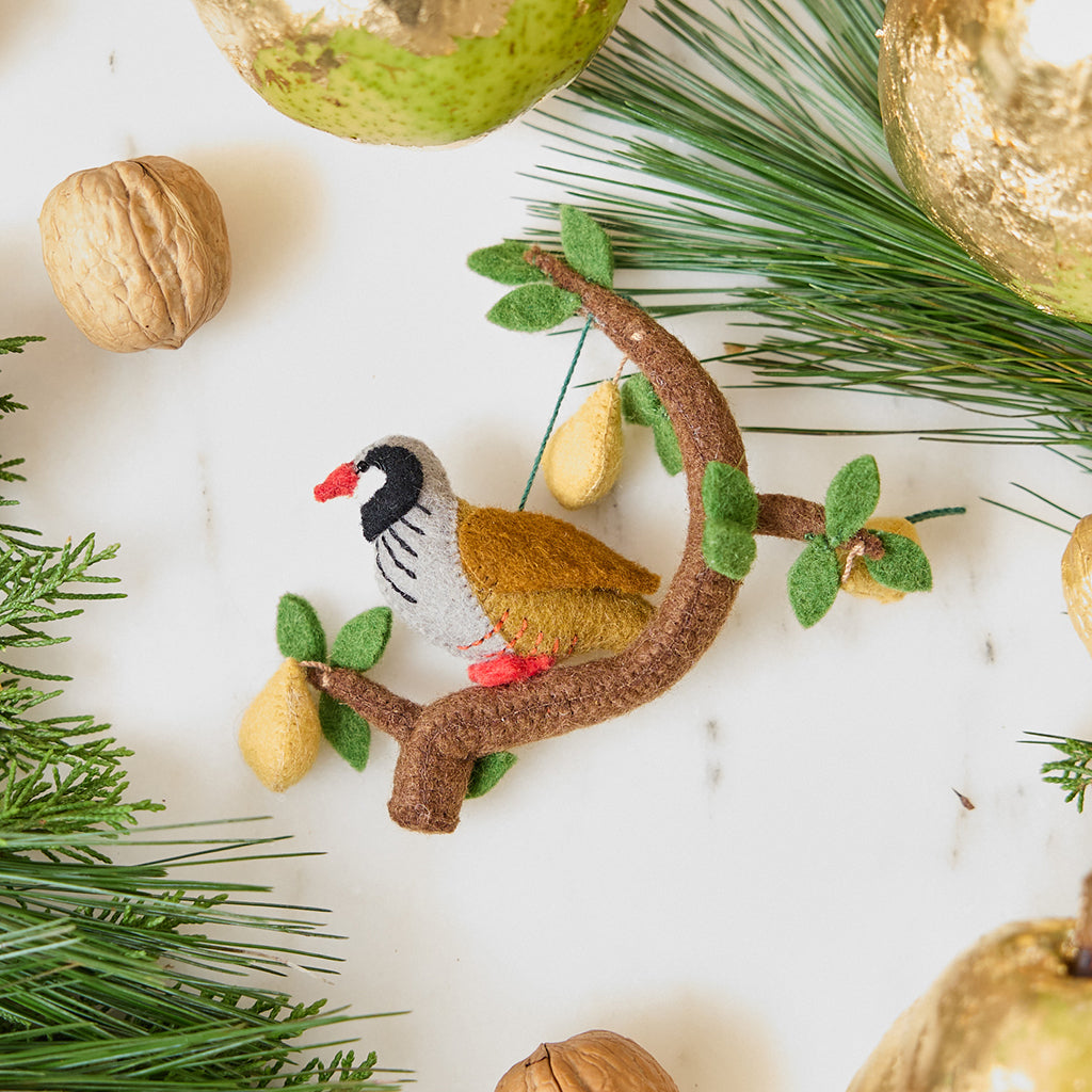 Partridge in Pear Tree