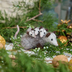 Fuzzy Opossum with Babies