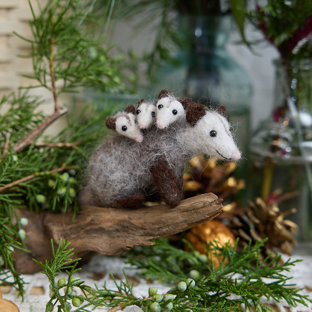 Fuzzy Opossum with Babies