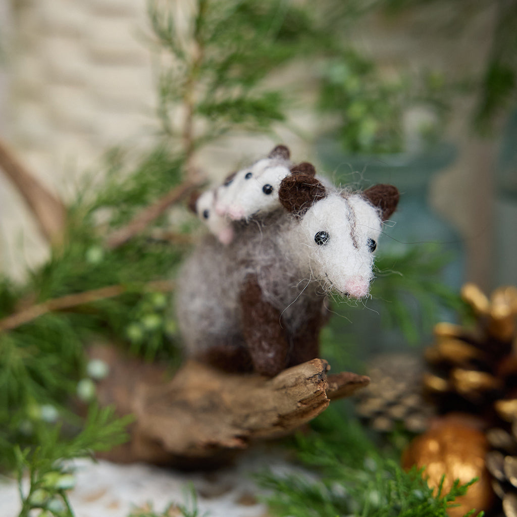 Fuzzy Opossum with Babies