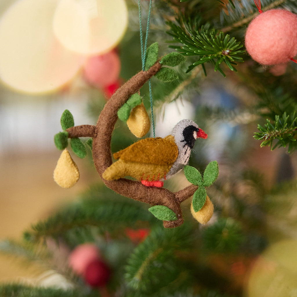 Partridge in Pear Tree