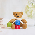 New Baby Teddy Bear