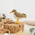Spotted Sandpiper Ornament