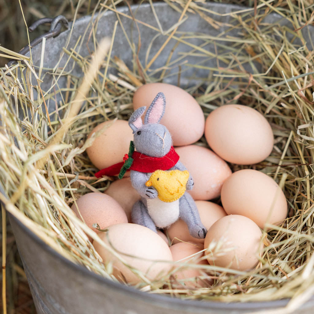 Gray Bunny with Chick