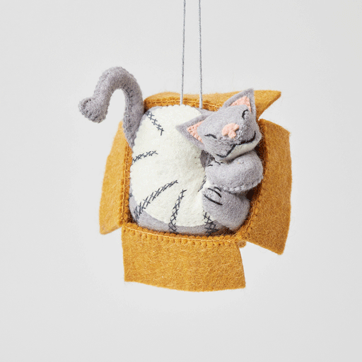 Cat in Box Ornament
