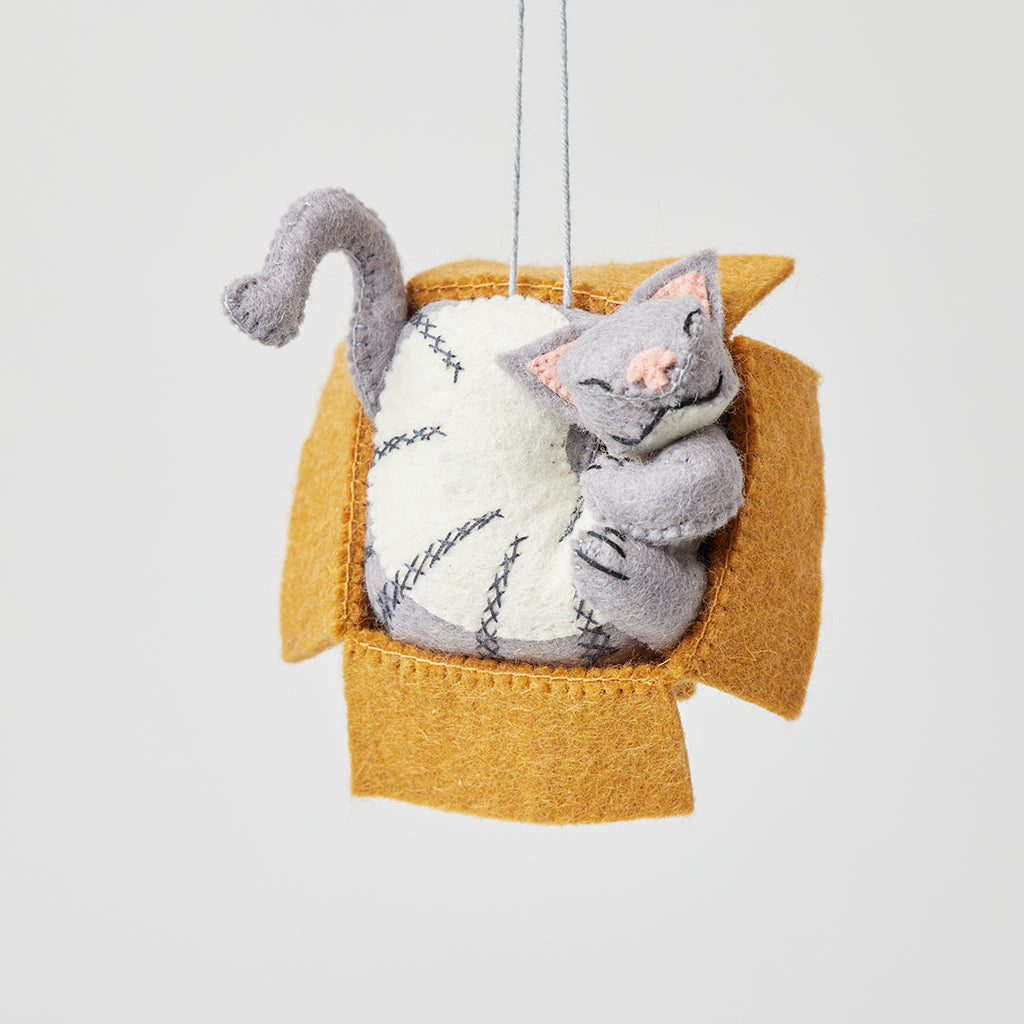 Cat in Box Ornament