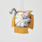 Cat in Box Ornament