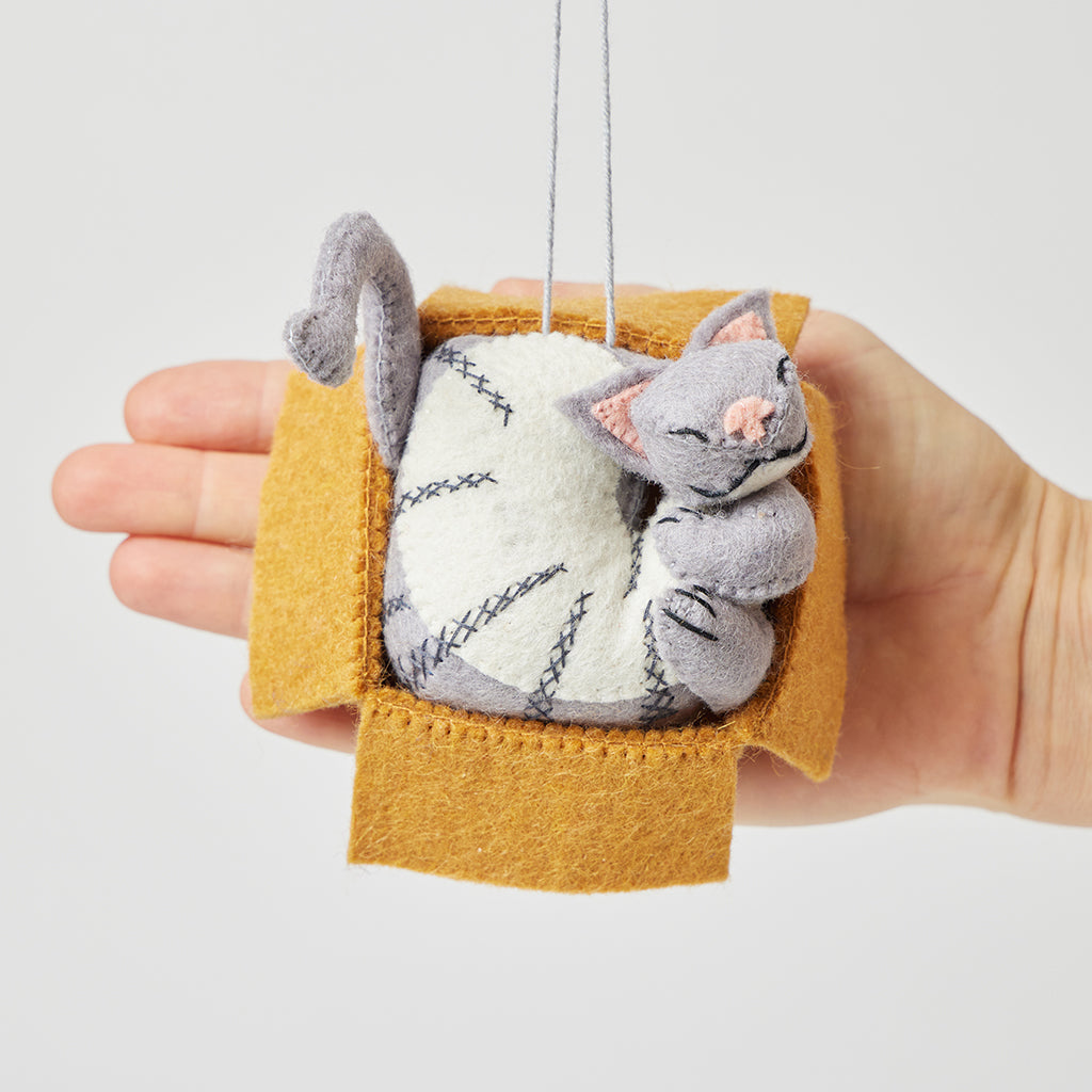 Cat in Box Ornament