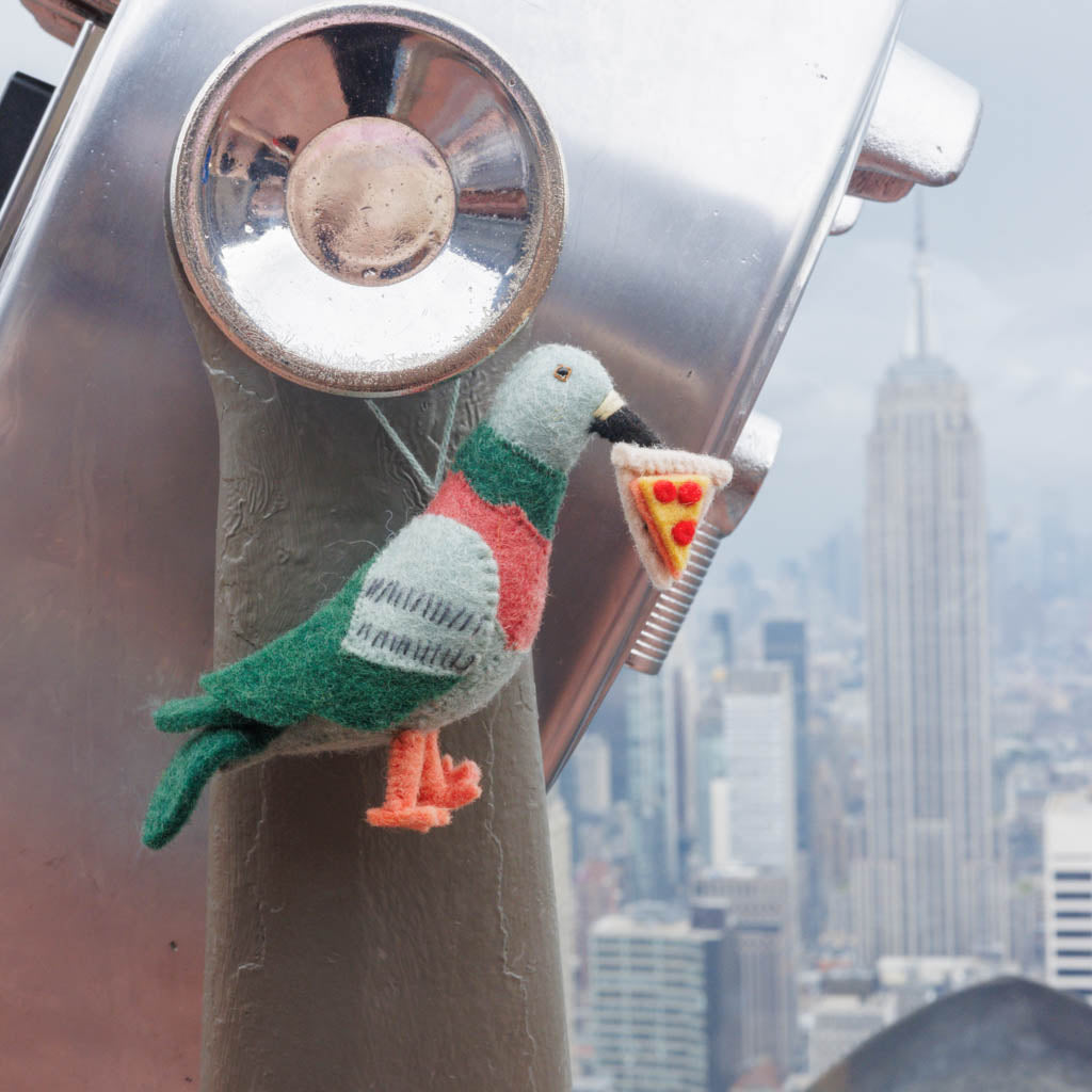 Hungry Urban Pizza Pigeon