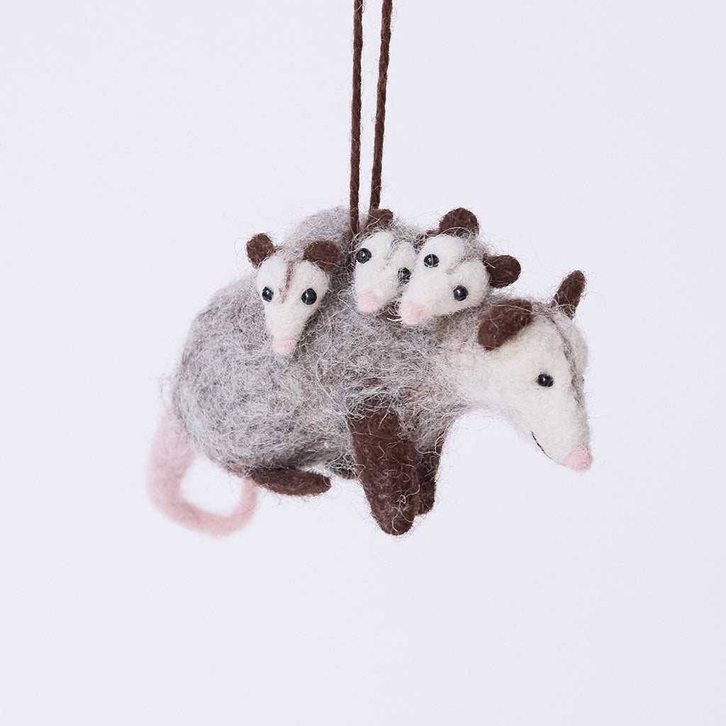 Fuzzy Opossum with Babies