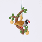 Partridge in Pear Tree