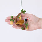 Partridge in Pear Tree