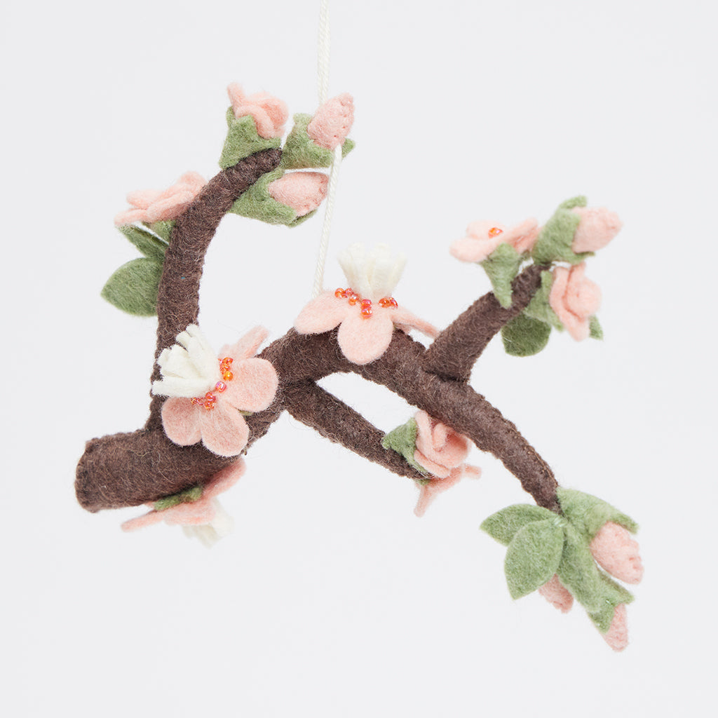 Sakura Cherry Blossoms Branch