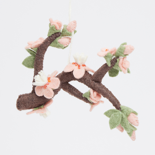 Sakura Cherry Blossoms Branch